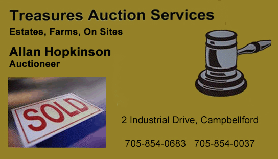 Auctioneer Banner